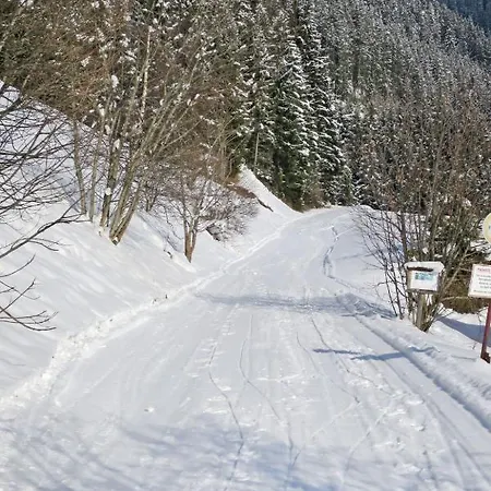 Appartement Almluft-2 By Interhome Stummerberg